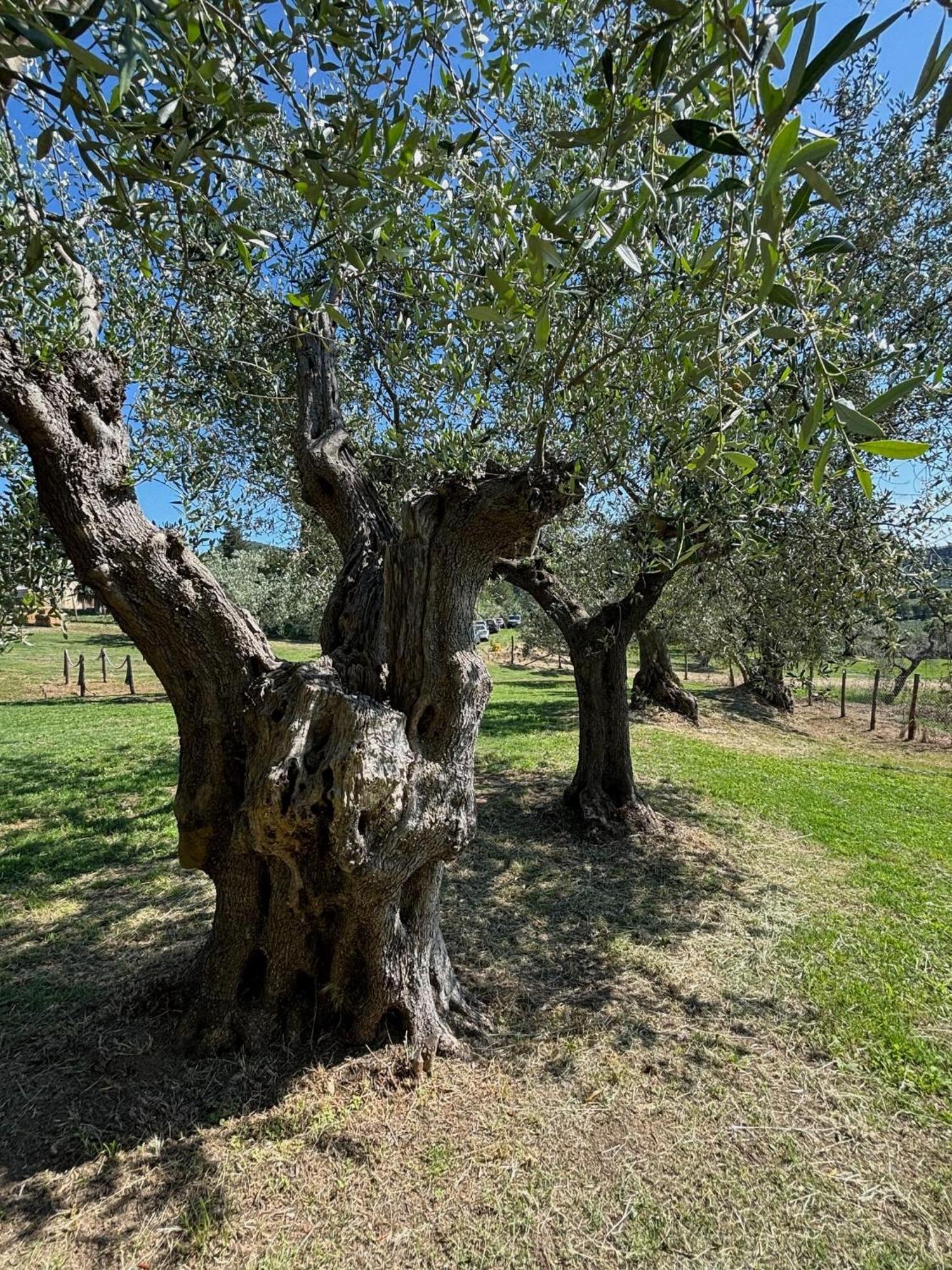 Relais Dei Molini Bed and Breakfast Castagneto Carducci Εξωτερικό φωτογραφία