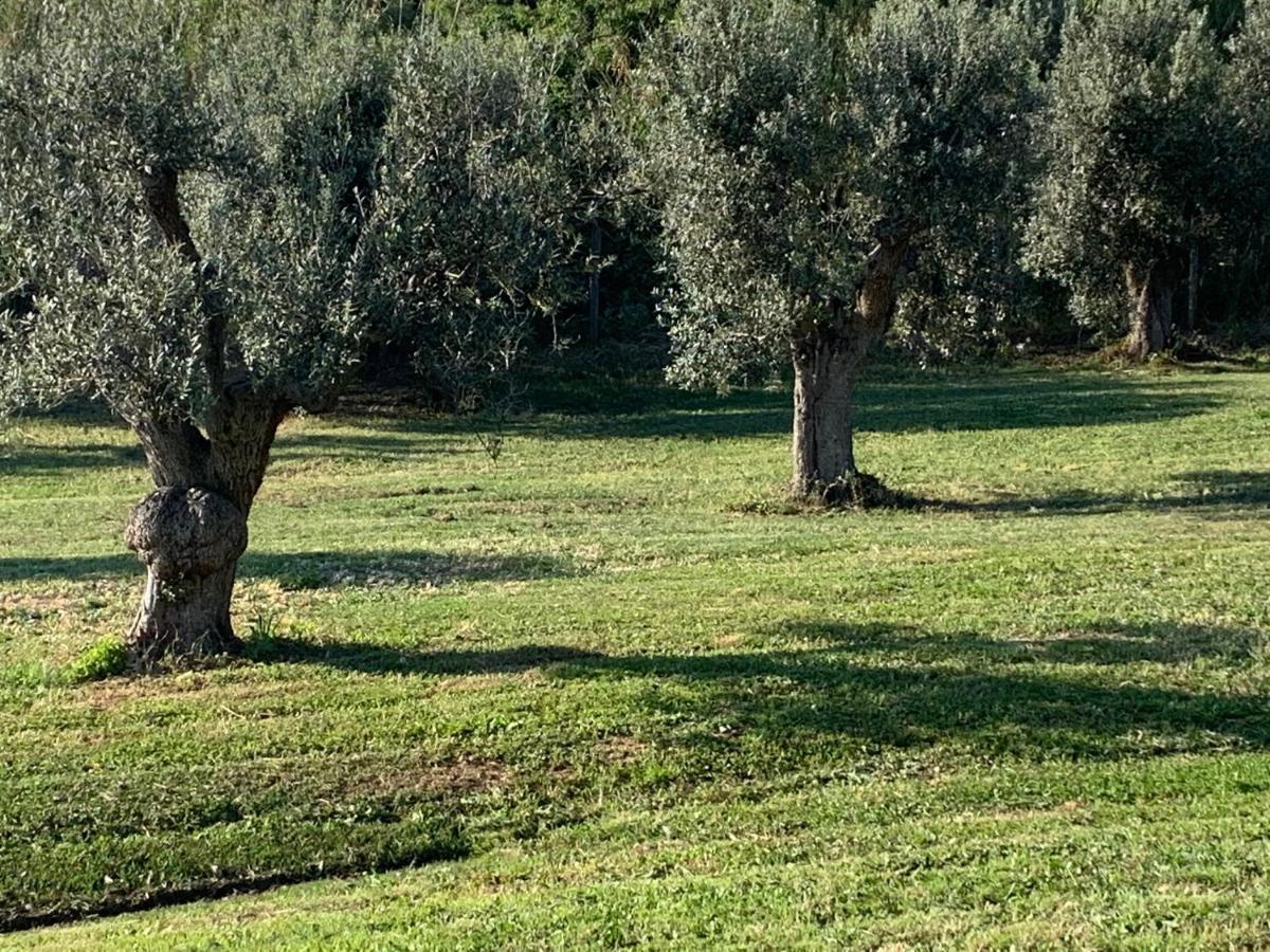 Relais Dei Molini Bed and Breakfast Castagneto Carducci Εξωτερικό φωτογραφία